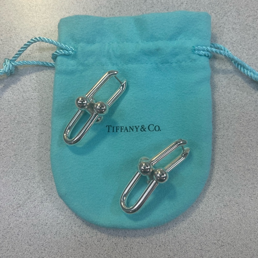 Tiffany & Co Silver Link Earrings